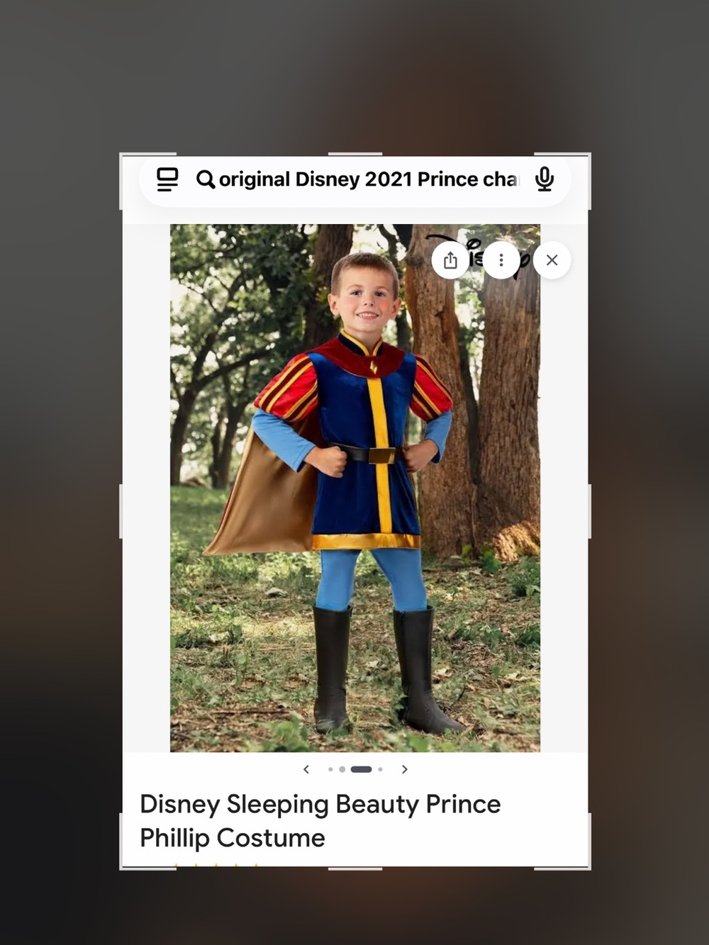 Disney Prince Phillip Costume in Blue, Red & Gold - Picture 7 of 11